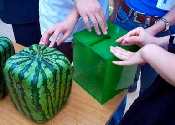 Square Watermelon and Translucent Box