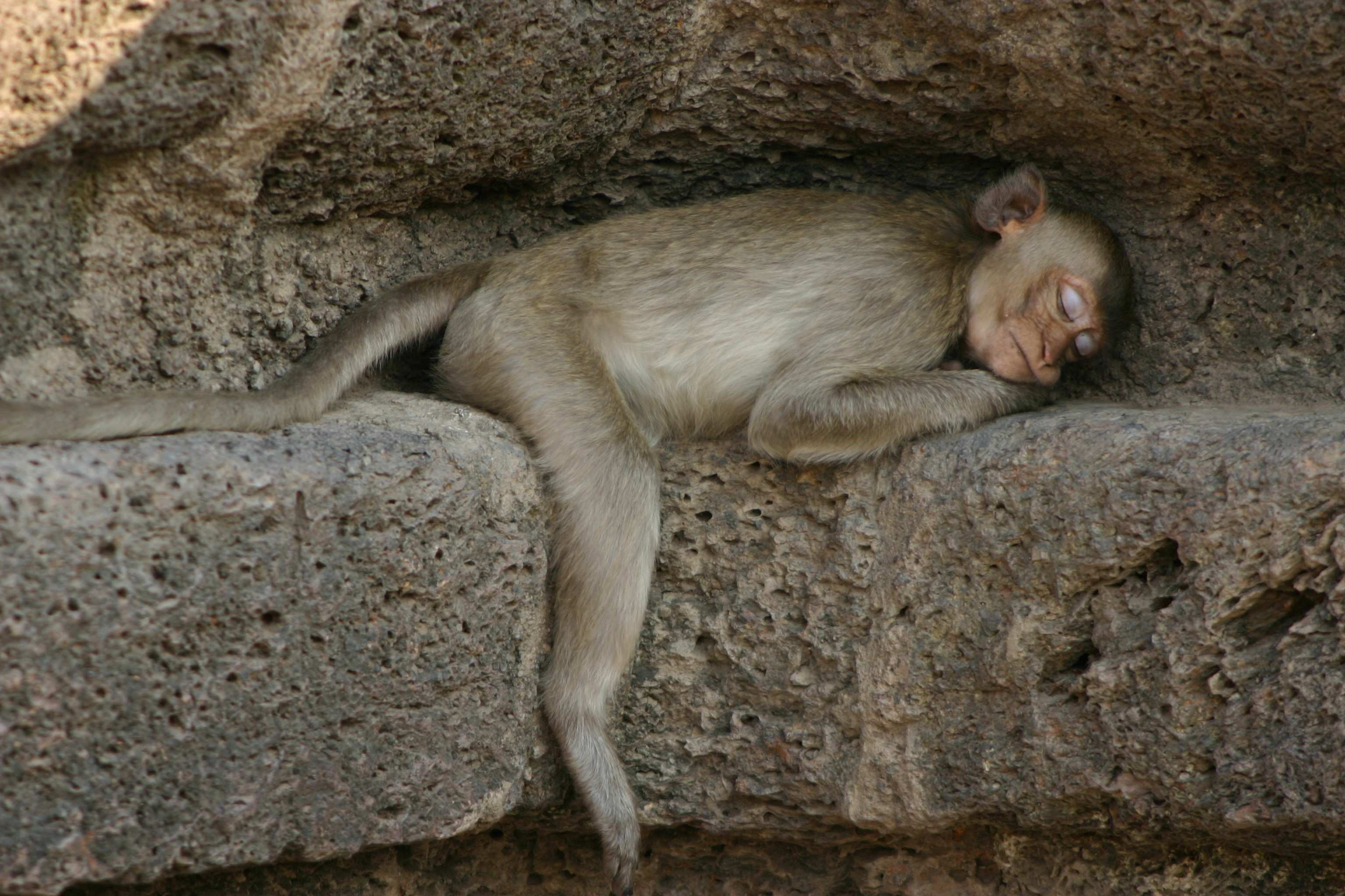 Lopburi