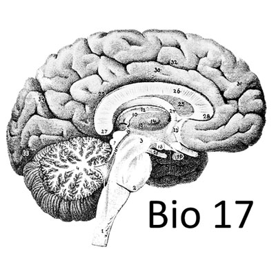 Biology 17