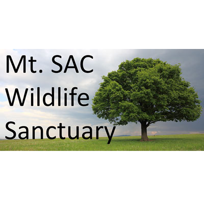 The Wildlife Sanctuary